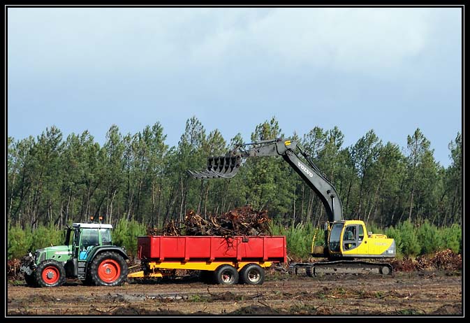 Tempête Klaus-2009 (9)